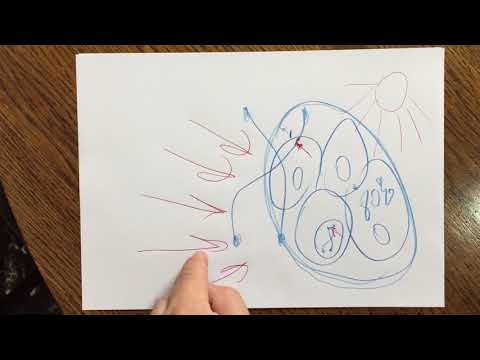 გამოსავალი არის