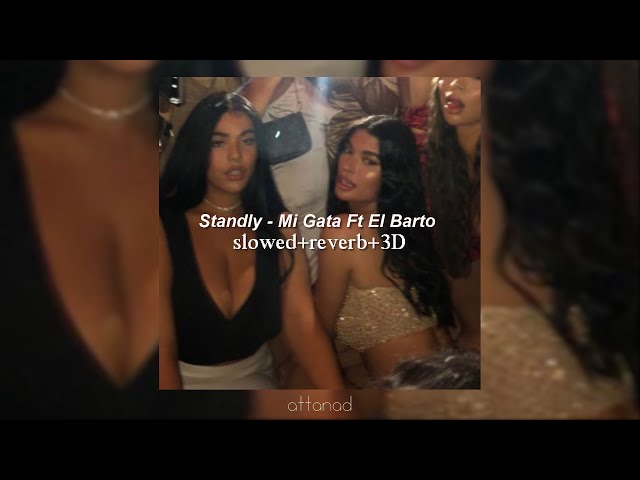 Standly - Mi Gata Ft El Barto (slowed + reverb + 3D) class=