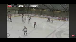 The the fifth goal of the EHL hockey beer league 2025-2026