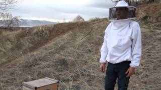 Middle Bar Frames - Keeping Hives Level