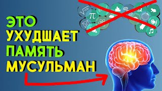 ЭТО очень сильно УХУДШАЕТ ПАМЯТЬ МУСУЛЬМАН! ПОЧЕМУ ГРЕХИ УХУДШАЮТ ПАМЯТЬ? ХАДИСЫ ОБ ЭТОМ!