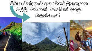 sireepada season - Tradionality-Malkeliya