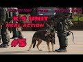 K-9 REAL ACTION 5 | Police Dog Takes Suspect Down