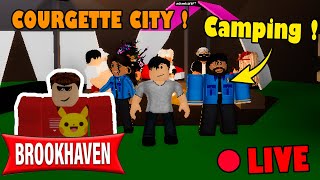 Live Roblox BROOKHAVEN - LE CAMPING À COURGETTE CITY !! En Vocal 😁 BROOKHAVEN RP STORY !