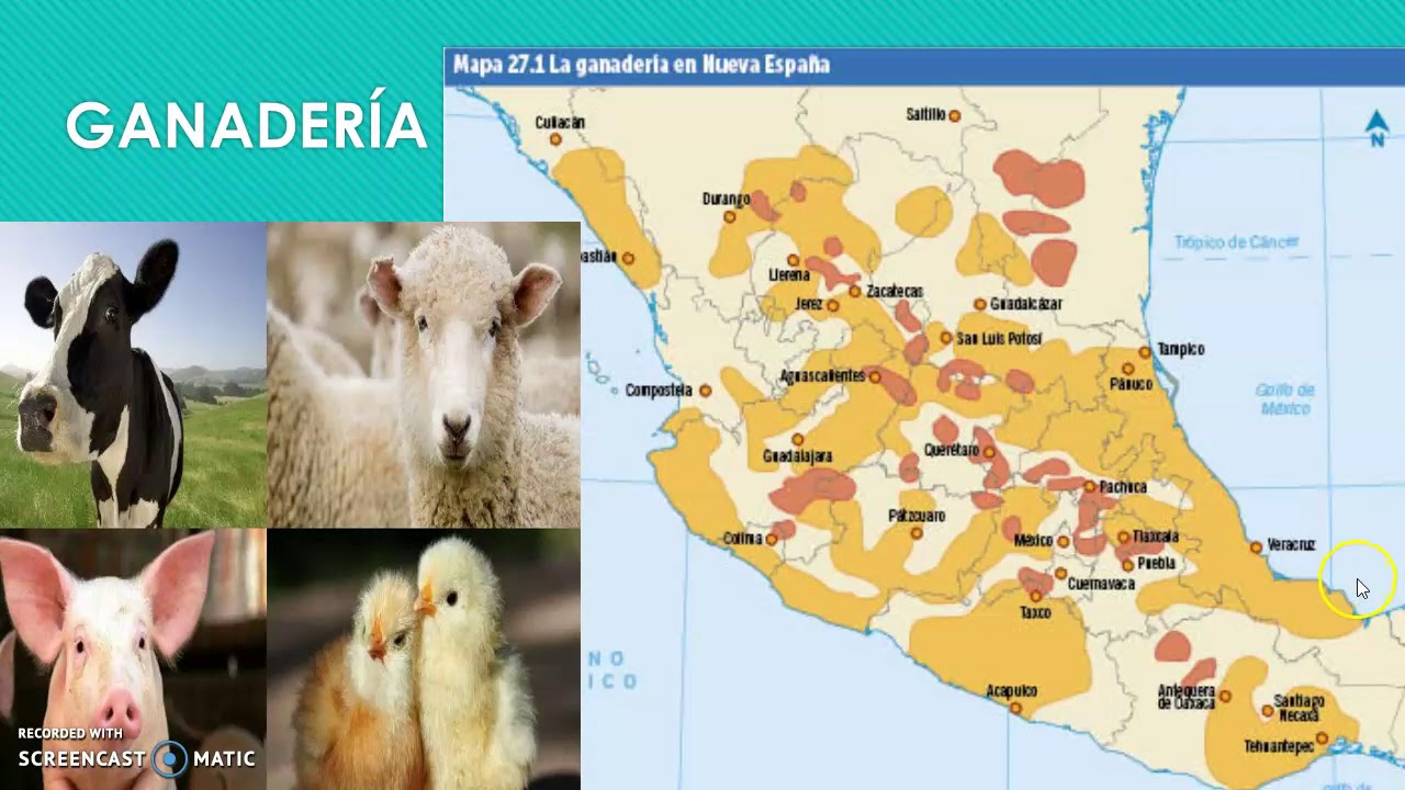 mineria,agricultura y ganaderia en nueva españa - YouTube
