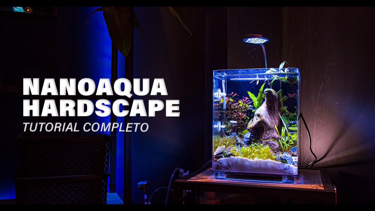 Como montar AQUÁRIO PLANTADO