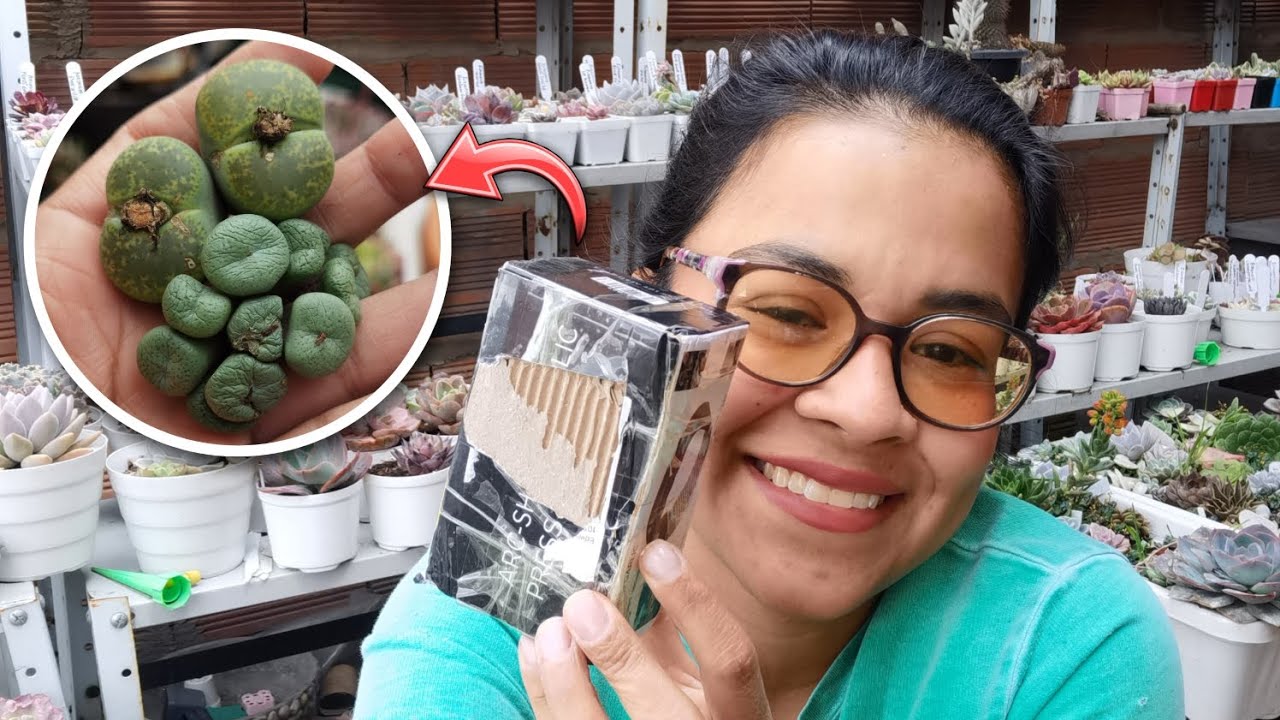 Recibí mi primer paquete de plantas del año!