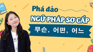PHÁ ĐẢO NGỮ PHÁP TIẾNG HÀN SƠ CẤP: 무슨, 어떤, 어느