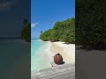 This Video Got 74 Million Views On TikTok Https Vt Tiktok Com ZSMFJ1GHL This Video Got 74 Million Views On TikTok Https Vt Tiktok Com ZSMFJ1GHL
