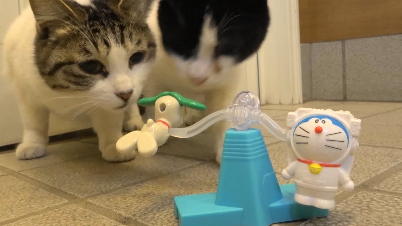 マクドナルドハッピーセット 野良猫ママ ロコロコは犬よ ドラえもんは猫よ Youtube