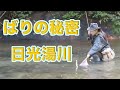 ばりの秘密日光湯川 [Japanese girls fly fishing in Nikko with subtitles]