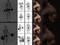 Home or Gym, It Doesn’t Matter — Weak Effort Builds Weak Shoulders 😤