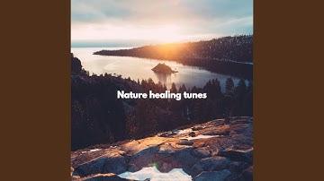 Tranquil Ambiance for Forgetting Summer