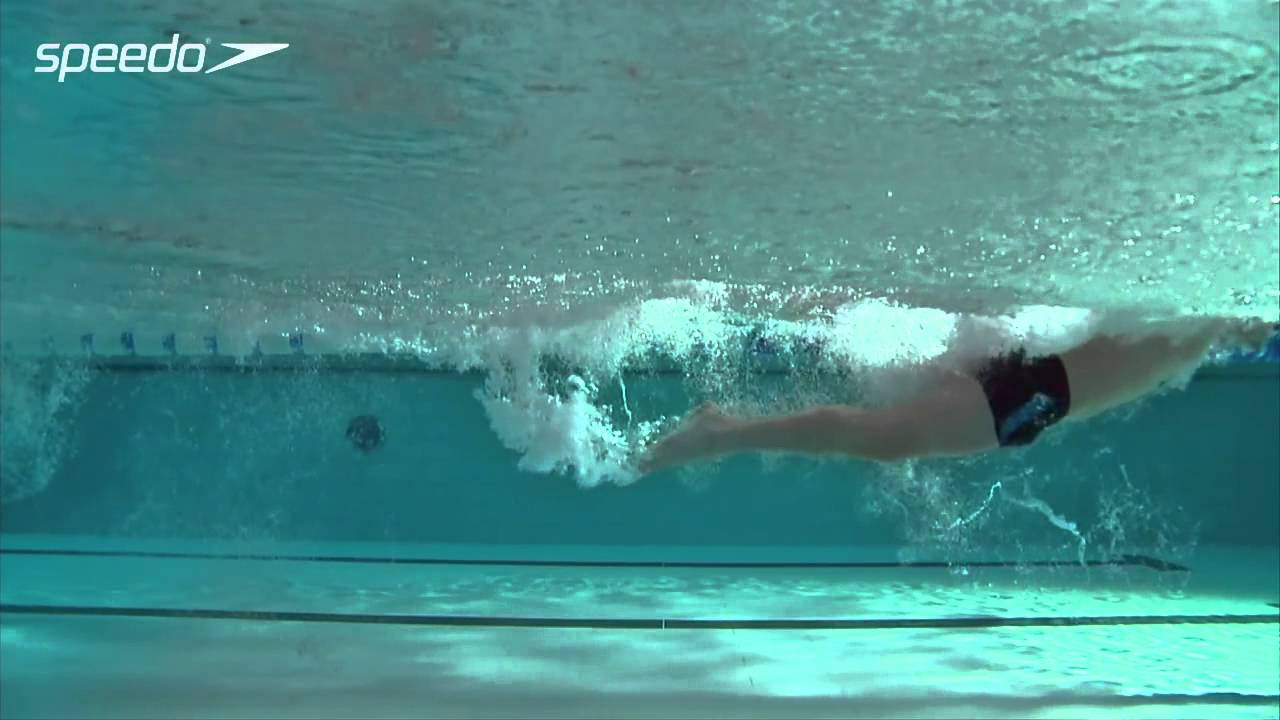 Butterfly Swimming Technique Kick HD YouTube