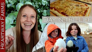 Day in the Life Mom of 6 | Homeschool | Keeping family first | Microgreens