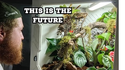 THE ENCLOSURES OUR REPTILES NEED!!!!