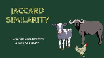 Jaccard Similarity explained with examples | Science in Data