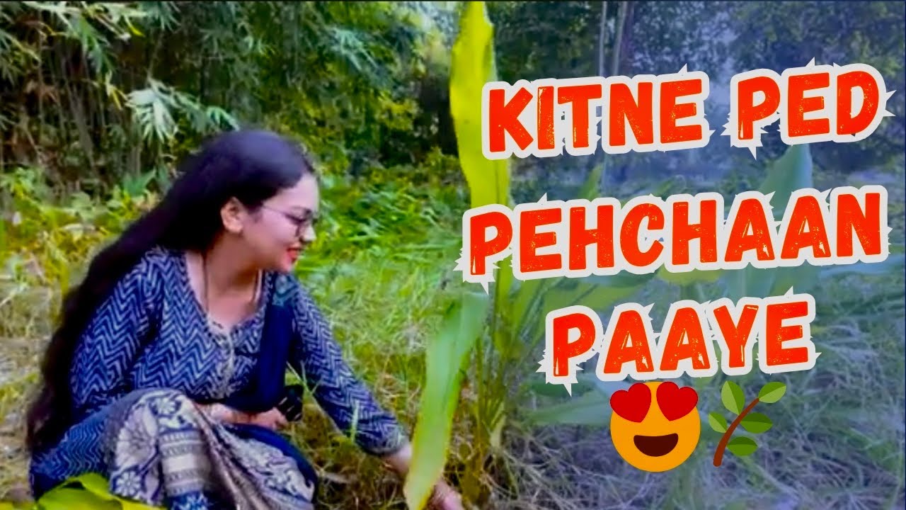 Ped Pehchano Challenge 😎 | Dekho Kaun Jeeta? 😄 #challengevideo 