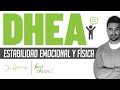 DHEA: Para Qué Sirve, Cómo Utilizarla Y Efectos Secundarios