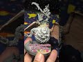 W.I.P of a Much Needed Boss Gobbo to lead my Fanatical Bat-Knights into Battle! #warhammer