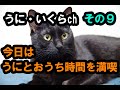 うにいくらch 　その９　久々に「うに」と午後をゆっくり楽しみました^^