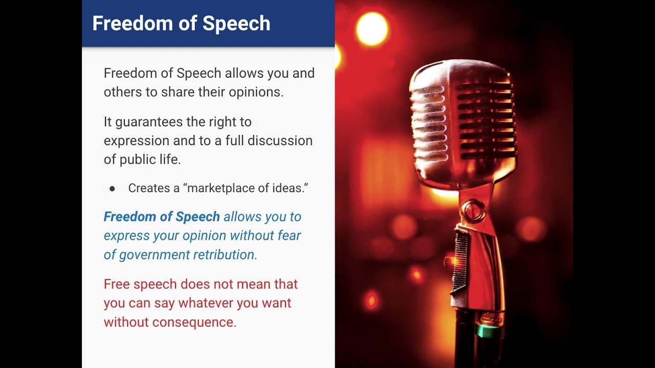 4.2 - Freedom of Speech, Assembly and Petition  - Virtual Notes