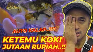 SATU KOKI BISA JUTAAN?? MASA BELI 1 DOANG... RARE GOLDFISH AT NUSATIC 2019