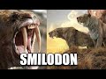 FABULOSOS felinos 🐆🐅 SMILODON #Tigres dientes de sable