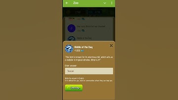 Riddle of the day zoo 3 january 2025 #crypto #zoo #zooairdrop #airdrop #cryptogames #xempire #shorts