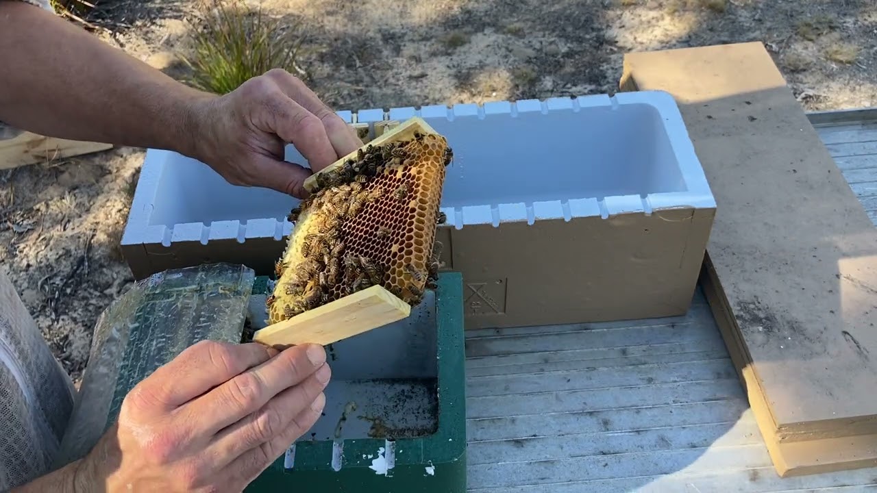 Самодельный мини-ядерный реактор.