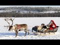 Santa claus reindeer land pello in lapland discover reindeer dog of father christmas in finland