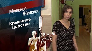 Крысы в беде. Мужское / Женское. Выпуск от 27.11.2023