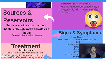 Streptococcus Pyogenes Video
