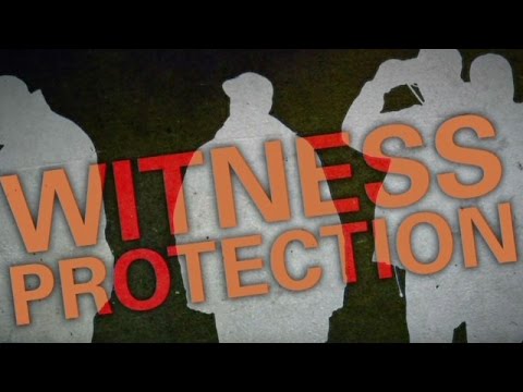 Dissertation protection witness