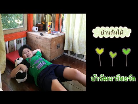 บ้านต้นไม้ บัววัฒนารีสอร์ต@สวนผึ้ง