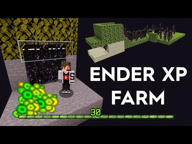 Minecraft Easy Big Enderman Farm 3x3 XP+Ender Pearl 2D and 3D