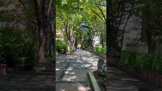 길것만 같던 여름도 한때