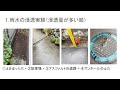 第１部：活動報告【令和７年度　善福寺川「水鳥の棲む水辺」創出事業シンポジウム】