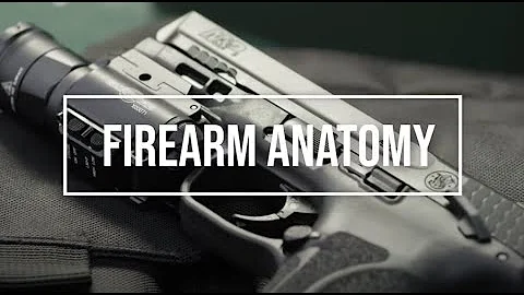 Basic Pistol Anatomy