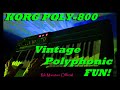 Korg Poly-800 Vintage Polyphonic Fun! DCO Analog Synthesizer Rik Marston