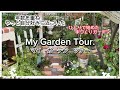 【ガーデニング】【マイガーデンツアー】年数を重ねやっと自分好みに近づいた　ひとりで始めた手づくりガーデン　My Garden Tour