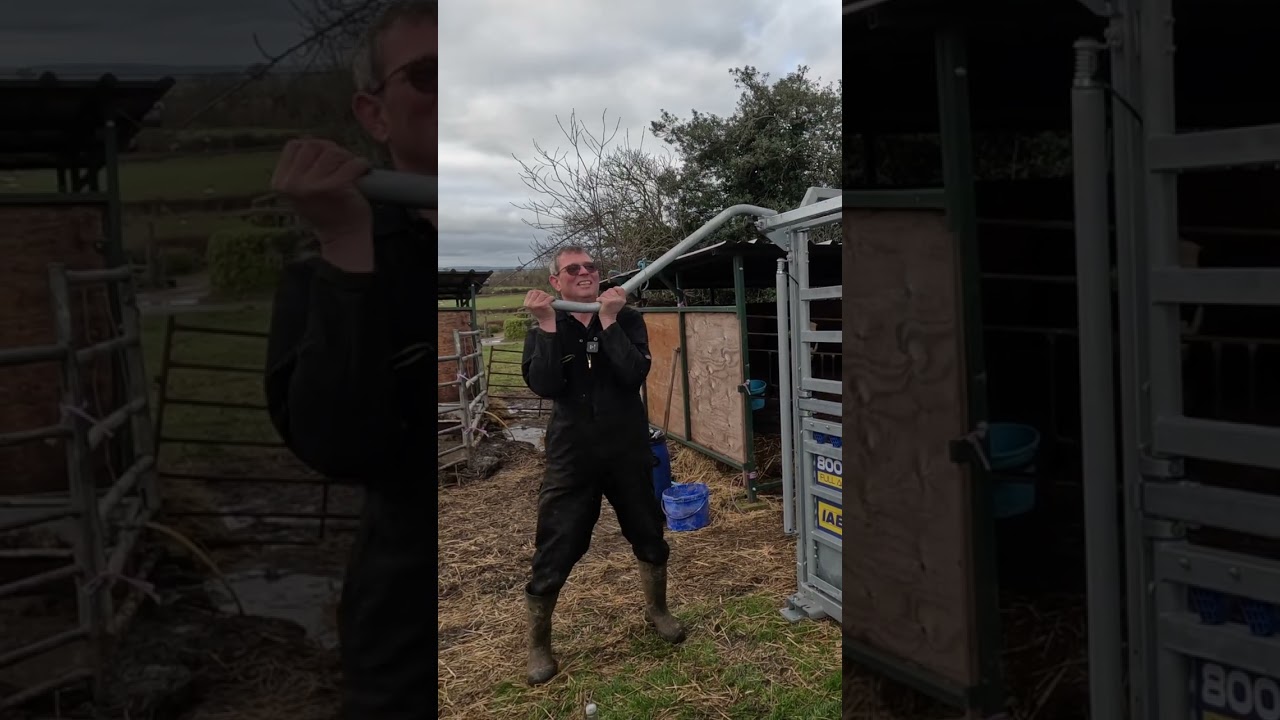 Trying the WORLDS HARDEST cattle crush!🤯🌏 