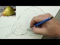 THE BASICS: Contour Line-The Great Descriptor Part 1