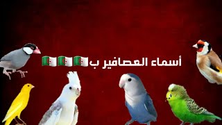 انواع العصافير في الجزائر
