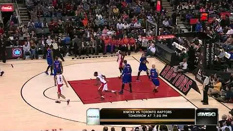 Alan Anderson highlights vs New York Knicks - Care...