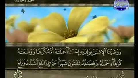 سورة الأحقاف من الآية 15 الى الآية  28