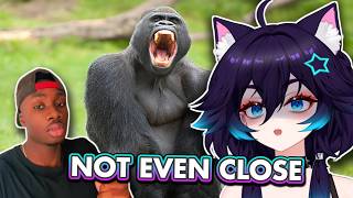 100 Men vs. 1 GORILLA?! | Casual Geographic Reaction