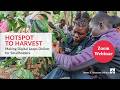 Hotspot to Harvest - Making Digital Leaps Work for Smallholders