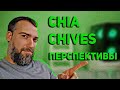 Chia, chives. Обновления и возможные перспективы. Сравнение chia и chives с другими монетами.