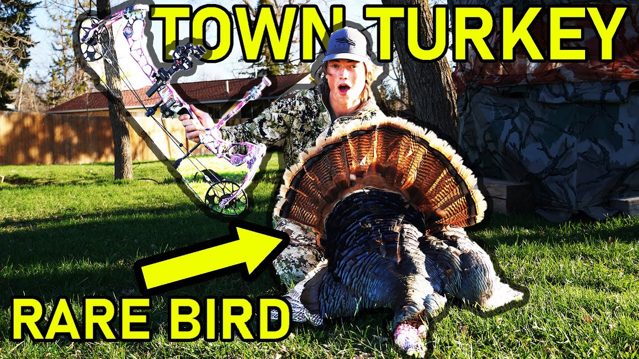 Archery TURKEY Hunting In TOWN! (Catch & Cook) YouTube